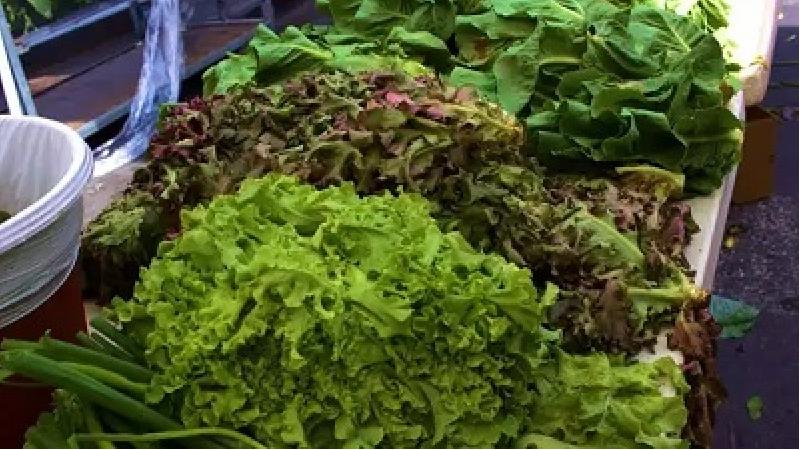 با سبزی پلاسیده چکار کنیم، روش تازه شدن