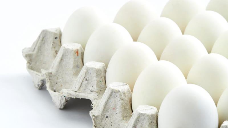 چطوری بفهمیم تخم مرغ فاسد شده یا سالم است