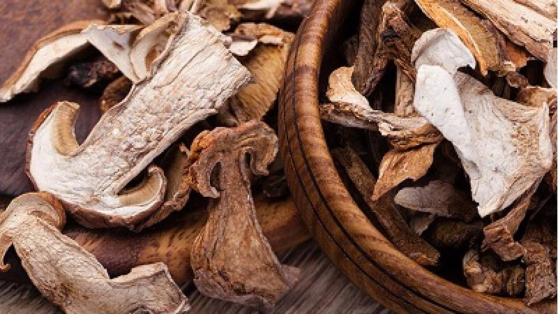 طرز خشک کردن قارچ در خانه