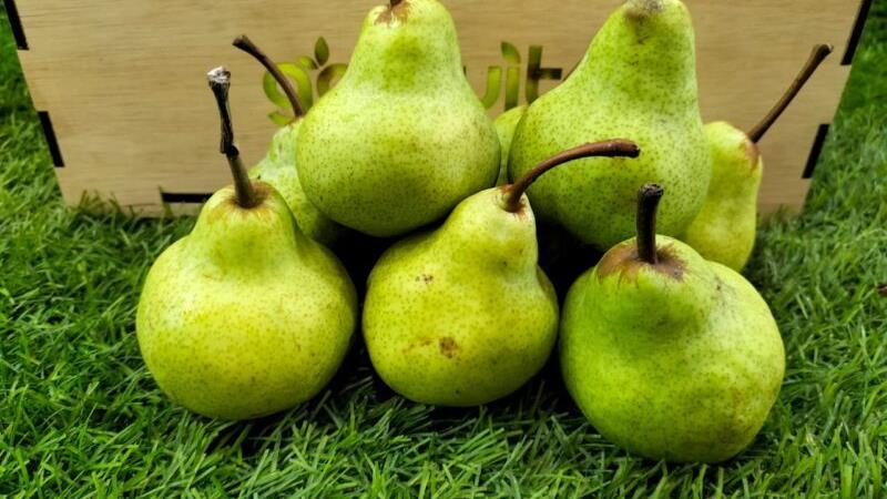 ماسک گلابی برای چی خوب است+ طرز تهیه