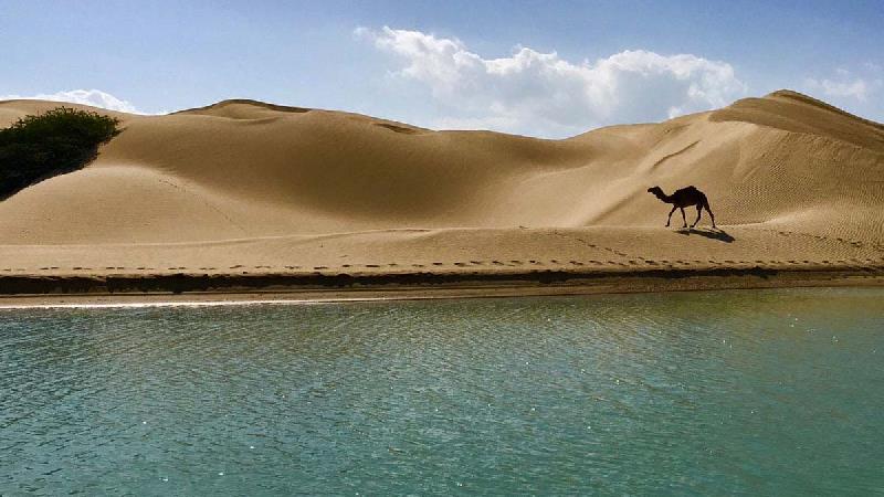 بهترین هتل ها برای اقامت در تور چابهار