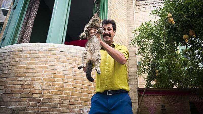 خلاصه داستان و بازیگران فیلم سال گربه