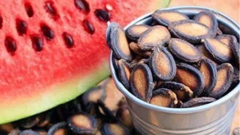 تخم هندوانه چه خواصی دارد؛ از کاهش وزن تا پوست و مو