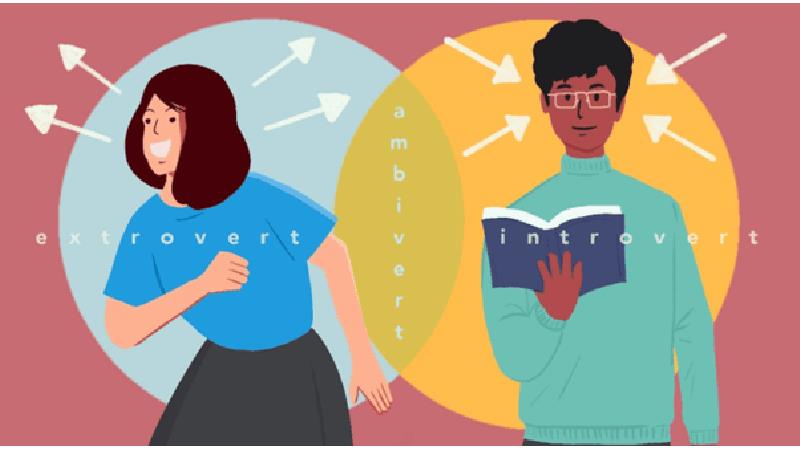 درون‌گراها و ویژگی‌های آن‌ها را بیشتر بشناسید