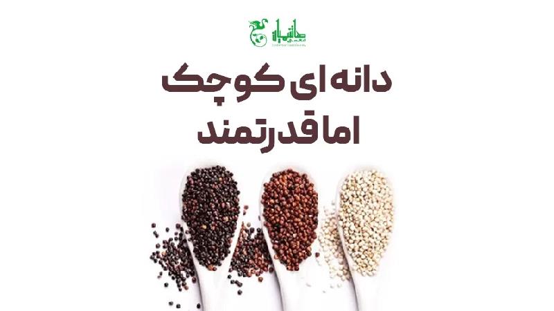 راز کاهش وزن سریع، با دانه‌ای کوچک اما قدرتمند!