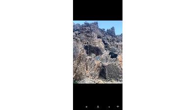 فیلم زیبا از حیات وحش سبلان: عبور خانوادگی خرس ها از نزدیکی کوهنوردان