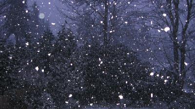 فیلمی از بارش برف در ارتفاعات تهران