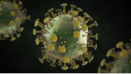 ویروس اچ پی وی چگونه منتقل می‌شود و راه‌های پیشگیری چیست