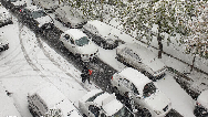 گزارش تصویری از برف پاییزی در تهران