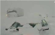 ببینید: برف نیم متری در رشت