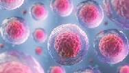 درمان کرونا با استفاده از سلول‌های بنیادی