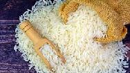 شپشک یا کرم برنج چطور از بین می‌رود