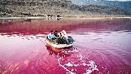 دریاچه مهارلو کجا است و چرا رنگ آن صورتی است