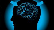 دلایل و علایم خشکی مغز چیست + راه درمان در طب سنتی
