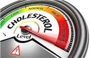 روش طبیعی کاهش کلسترول خون همراه با رژیم غذایی