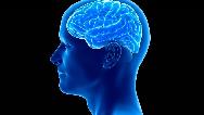 علت ها و علائم آنوریسم مغزی چیست