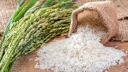 چگونه برنج ایرانی اصل را تشخیص بدهیم