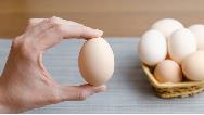 چگونه بفهمیم تخم مرغ خراب شده است