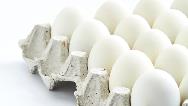 چطوری بفهمیم تخم مرغ فاسد شده یا سالم است
