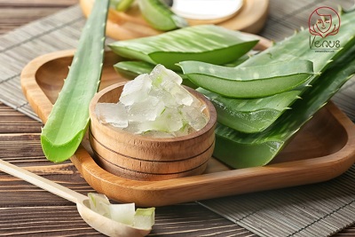 آلوئه ورا، یک ژل با چند خاصیت بی نظیر