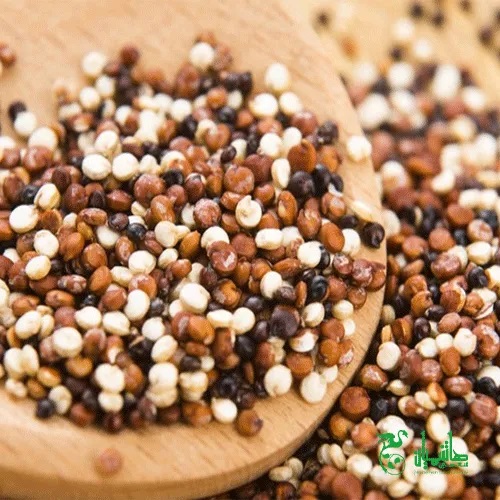 دانه کینوا از عطاری هاشمیان